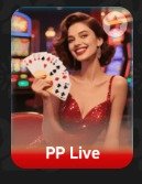 WhatsApp Image 2026-01-06 at 11.14.41 AM (2)